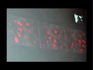 (id)art_fest 2016 - fourth night