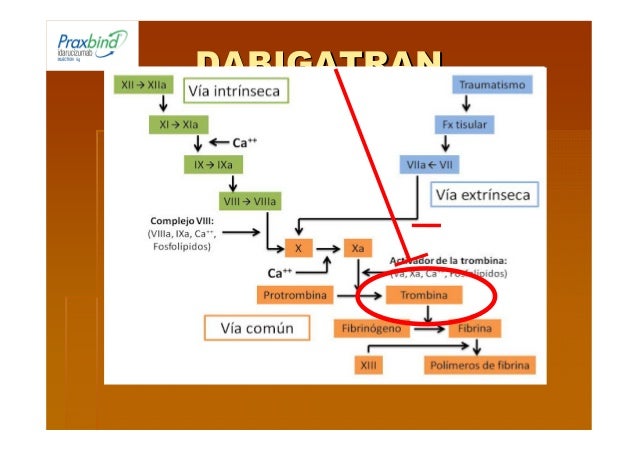idarucizumab indication idarucizumab indication
