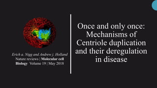 Once and only once:
Mechanisms of
Centriole duplication
and their deregulation
in disease
Erich a. Nigg and Andrew j. Holland
Nature reviews | Molecular cell
Biology Volume 19 | May 2018
 