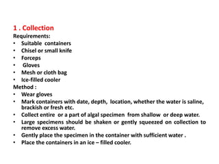 1 . Collection
Requirements:
• Suitable containers
• Chisel or small knife
• Forceps
• Gloves
• Mesh or cloth bag
• Ice-filled cooler
Method :
• Wear gloves
• Mark containers with date, depth, location, whether the water is saline,
brackish or fresh etc.
• Collect entire or a part of algal specimen from shallow or deep water.
• Large specimens should be shaken or gently squeezed on collection to
remove excess water.
• Gently place the specimen in the container with sufficient water .
• Place the containers in an ice – filled cooler.
 