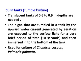 d ) In tanks (Tumble Culture)
• Translucent tanks of 0.6 to 0.9 m depths are
needed .
• The algae that are tumbled in a tank by the
upward water current generated by aeration
are exposed to the surface light for a very
brief period of time (10 seconds) and then
immersed in to the bottom of the tank.
• Used for culture of Chondrus crispus,
Palmaria palmata.
 
