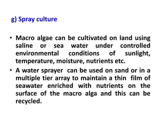 g) Spray culture
• Macro algae can be cultivated on land using
saline or sea water under controlled
environmental conditions of sunlight,
temperature, moisture, nutrients etc.
• A water sprayer can be used on sand or in a
multiple tier array to maintain a thin film of
seawater enriched with nutrients on the
surface of the macro alga and this can be
recycled.
 