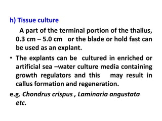 h) Tissue culture
A part of the terminal portion of the thallus,
0.3 cm – 5.0 cm or the blade or hold fast can
be used as an explant.
• The explants can be cultured in enriched or
artificial sea –water culture media containing
growth regulators and this may result in
callus formation and regeneration.
e.g. Chondrus crispus , Laminaria angustata
etc.
 