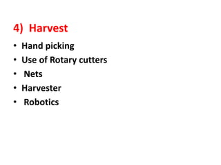 4) Harvest
• Hand picking
• Use of Rotary cutters
• Nets
• Harvester
• Robotics
 