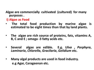 Algae are commercially cultivated (cultured) for many
purposes .
i) Algae as Food
• The total food production by marine algae is
estimated to be eight times than that by land plants.
• The algae are rich source of proteins, fats, vitamins A,
B, C and E ; omega -3 fatty acids etc.
• Several algae are edible. E.g. Ulva , Porphyra,
Laminaria, Chlorella, Gracilaria, Gelidium etc.
• Many algal products are used in food industry.
e.g Agar, Carageenan etc.
 