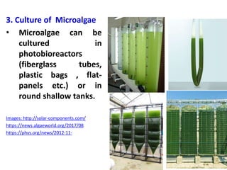 3. Culture of Microalgae
• Microalgae can be
cultured in
photobioreactors
(fiberglass tubes,
plastic bags , flat-
panels etc.) or in
round shallow tanks.
Images: http://solar-components.com/
https://news.algaeworld.org/2017/08
https://phys.org/news/2012-11-
 