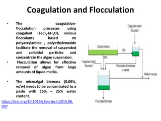 Coagulation and Flocculation
https://doi.org/10.1016/j.biortech.2015.06.
097
• The coagulation-
flocculation processes using
coagulant (FeCl3·6H2O), various
flocculants based on
polyacrylamide , polyethylenoxide
facilitate the removal of suspended
and colloidal particles and
concentrate the algae suspension.
• Flocculation allows for effective
removal of algae from large
amounts of liquid media.
• The microalgal biomass (0.05%,
w/w) needs to be concentrated to a
paste with 15% – 25% water
content.
 