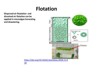 Flotation
https://doi.org/10.1016/j.biombioe.2018.11.0
18
Dispersed air floatation and
dissolved air flotation can be
applied in microalgae harvesting
and dewatering.
 
