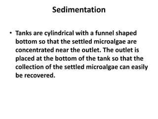 Sedimentation
• Tanks are cylindrical with a funnel shaped
bottom so that the settled microalgae are
concentrated near the outlet. The outlet is
placed at the bottom of the tank so that the
collection of the settled microalgae can easily
be recovered.
 