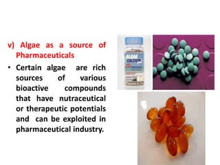 v) Algae as a source of
Pharmaceuticals
• Certain algae are rich
sources of various
bioactive compounds
that have nutraceutical
or therapeutic potentials
and can be exploited in
pharmaceutical industry.
 