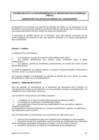 Négoce de l’ameublement 1/6
ACCORD RELATIF A LA RECONVERSION OU LA PROMOTION PAR ALTERNANCE
(PRO-A)
CONVENTION COLLECTIVE ...