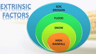 SOIL
EROSION
FLOOD
SNOW
HIGH
RAINFALL
 