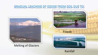 Melting of Glaciers
Floods
Rainfall
 