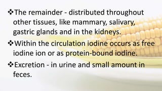 The remainder - distributed throughout
other tissues, like mammary, salivary,
gastric glands and in the kidneys.
Within the circulation iodine occurs as free
iodine ion or as protein-bound iodine.
Excretion - in urine and small amount in
feces.
 