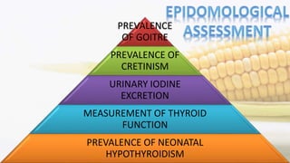 PREVALENCE
OF GOITRE
PREVALENCE OF
CRETINISM
URINARY IODINE
EXCRETION
MEASUREMENT OF THYROID
FUNCTION
PREVALENCE OF NEONATAL
HYPOTHYROIDISM
 