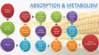 Dietary
iodide
Small
intestine
Blood
1/3 rd
iodine-
thyroid
gland
Remainin
g- kidney
Prevents
accumula
tion
Residues
of
tyrosine+
oxidized
iodide
Iodine
level falls
Hypothal
amus-
TRF -
Plasma
TRF-
pituitary
gland &
stimulate
TSH
TSH-
thyroid
gland
Stimulate
enzyme
producti
on
Release
tyrosine
residues
from
protein
Residues
to T3 &
T4 into
plasma
Regulate
energy
releasing
Overall
metabolic rate
 