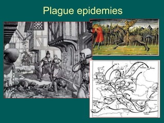 Plague epidemies
 