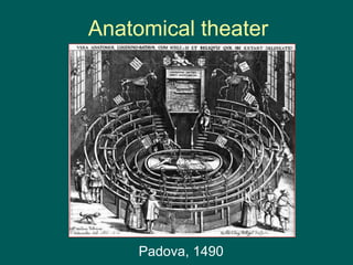 Аnatomical theater
Padova, 1490
 