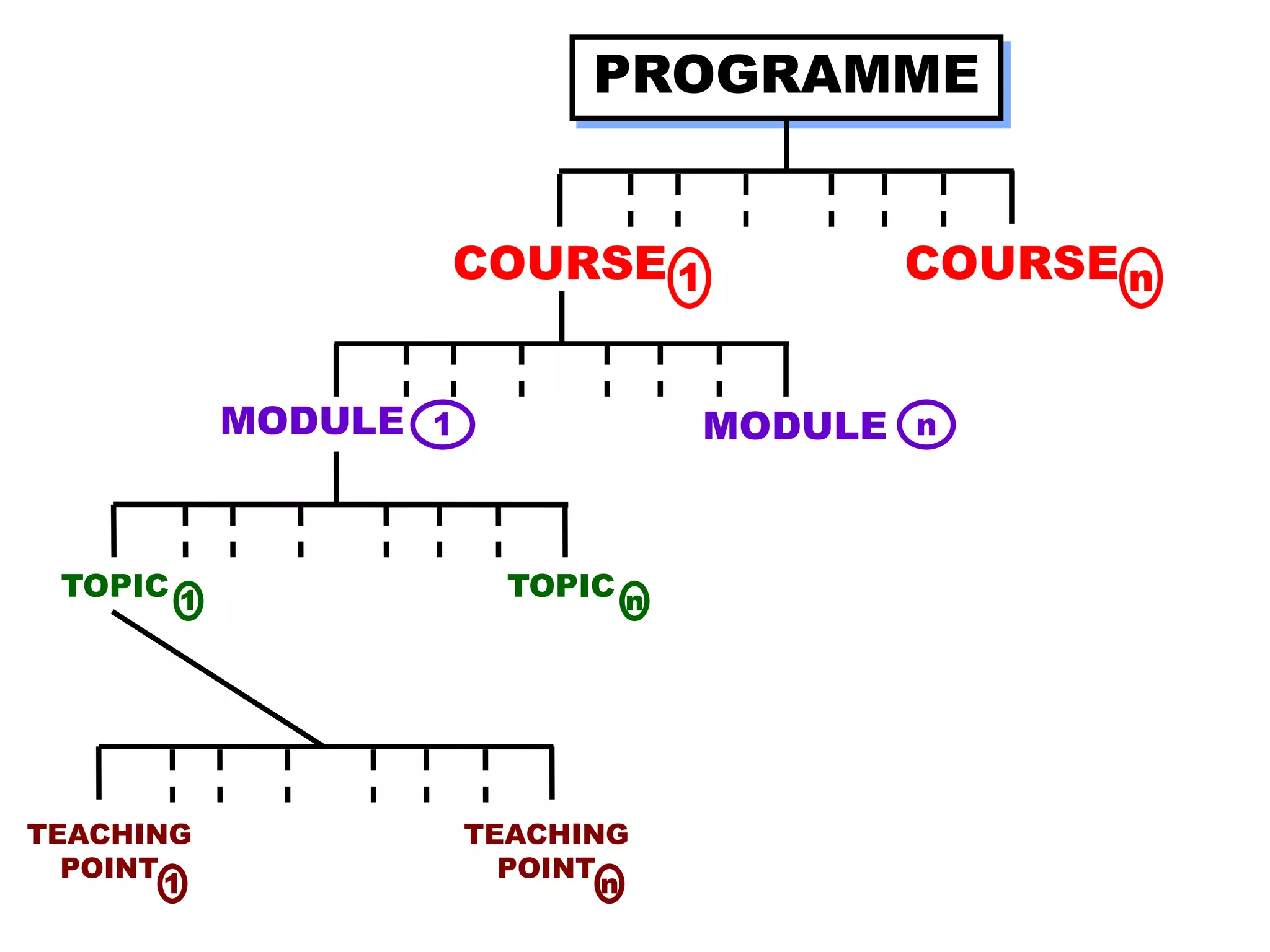 PROGRAMME
COURSE 1 COURSE n
MODULE 1 nMODULE
TOPIC 1 TOPIC n
TEACHING
POINT
1
TEACHING
POINT
n
 