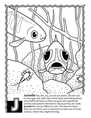 Alaska Fish ABC's Coloring Book | PDF