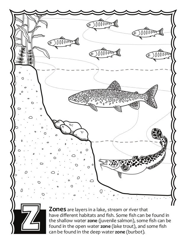 Alaska Fish Abc S Coloring Book