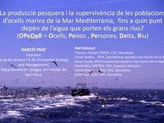 La producció pesquera i la supervivència de les poblacions
d’ocells marins de la Mar Mediterrània, fins a quin punt
depèn de l’aigua que porten els grans rius?
(OPeDeR = Ocells, Peixos , Persones, Delta, Riu)
NARCÍS PRAT

Impulsor
Grup de recerca F.E.M. (Freswater Ecology
and Management)
Departament d’Ecologia, Universitat de
Barcelona

PARTENARIAT
Francesc Gallart, IDAEA, CSIC, Barcelona
Carles Ibañez, , IRTA, Ecosistemes Aquàtics San Carles de la Rà
Nuno Caiola, IRTA Ecosistemes Aquàtics San Carles de la Ràpi
Daniel Oró, IMEDEA, CSIC, Esporles Mallorca
Isabel Palomera, ICM, CSIC, Barcelona
Jordi Salat, ICM, CSIC, Barcelona

 