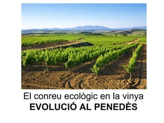 El conreu ecològic en la vinya
 EVOLUCIÓ AL PENEDÈS
 