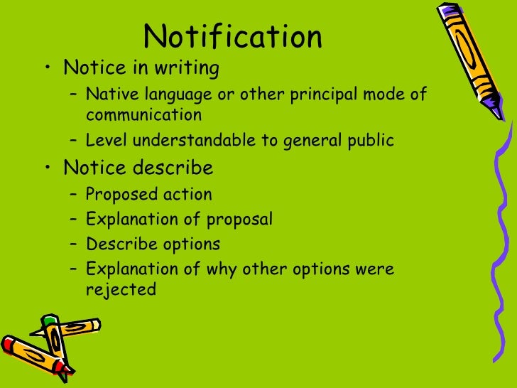 Idea 2004 essay 08 picture