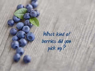 What kind of
berries did you
   pick up?
 