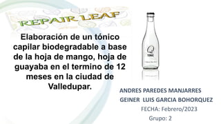 ANDRES PAREDES MANJARRES
GEINER LUIS GARCIA BOHORQUEZ
FECHA: Febrero/2023
Grupo: 2
Elaboración de un tónico
capilar biodegradable a base
de la hoja de mango, hoja de
guayaba en el termino de 12
meses en la ciudad de
Valledupar.
 