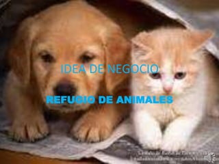 IDEA DE NEGOCIO 
REFUGIO DE ANIMALES 
 