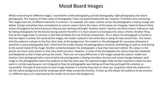 Mood Board Images
Whilst researching for different images, I searched for street photography, portrait photography, night photography and nature
photography. The majority of these styles of photography I have not experimented with yet, however I find them very interesting.
The images have lots of different elements in common. For example, the colour scheme across the photographs is mainly orange and
yellow. Orange and yellow have connotations to autumn season where the colour of the leaves are changing. I want to feature these
colours throughout my fanzine because they are eye catching and bright. Another reason I want to use these colours is because I will
be taking photographs for the fanzine during autumn therefore it is much easier to encompass this colour scheme. Another thing
that all the images have in common is that they all follow the rule of thirds composition. This is where the photograph is framed so
that the object is central. On nearly all the images, the model is placed in the center box or along the two central lines. This means
that the audience is drawn to this first, then looks at the background. The model is in the photograph for a purpose otherwise it
would be a nature photography shot: I think that the model conveys the photographers emotions and feelings as well as contributing
to the overall mood of the image. Another similarity between the photographs is how they have been edited. The colours in the
picture are much more vibrant so that they stand out more. However, in some of the photographs the colours have ben darkened
and deepened so that it helps portray the mood. There are not many differences in the images except the colours, model and
location. Each photograph tells a story of what the photographer is feeling, therefore the tone and mood changes between each
image as the photographer wants the audience to feel the same way. The selected images make me feel inspired to create my own
work in a similar way because I am intrigued on how the photographer was feeling and how they portrayed this emotion so
successfully. The type of shot varies on each image, however it is mainly long shots or close ups. Long shots allow the audience to
see the nature background and the landscape which helps convey the emotion. A close up shot allows the audience to see emotion
in a different way as it is expressed by the model not so much the background.
 