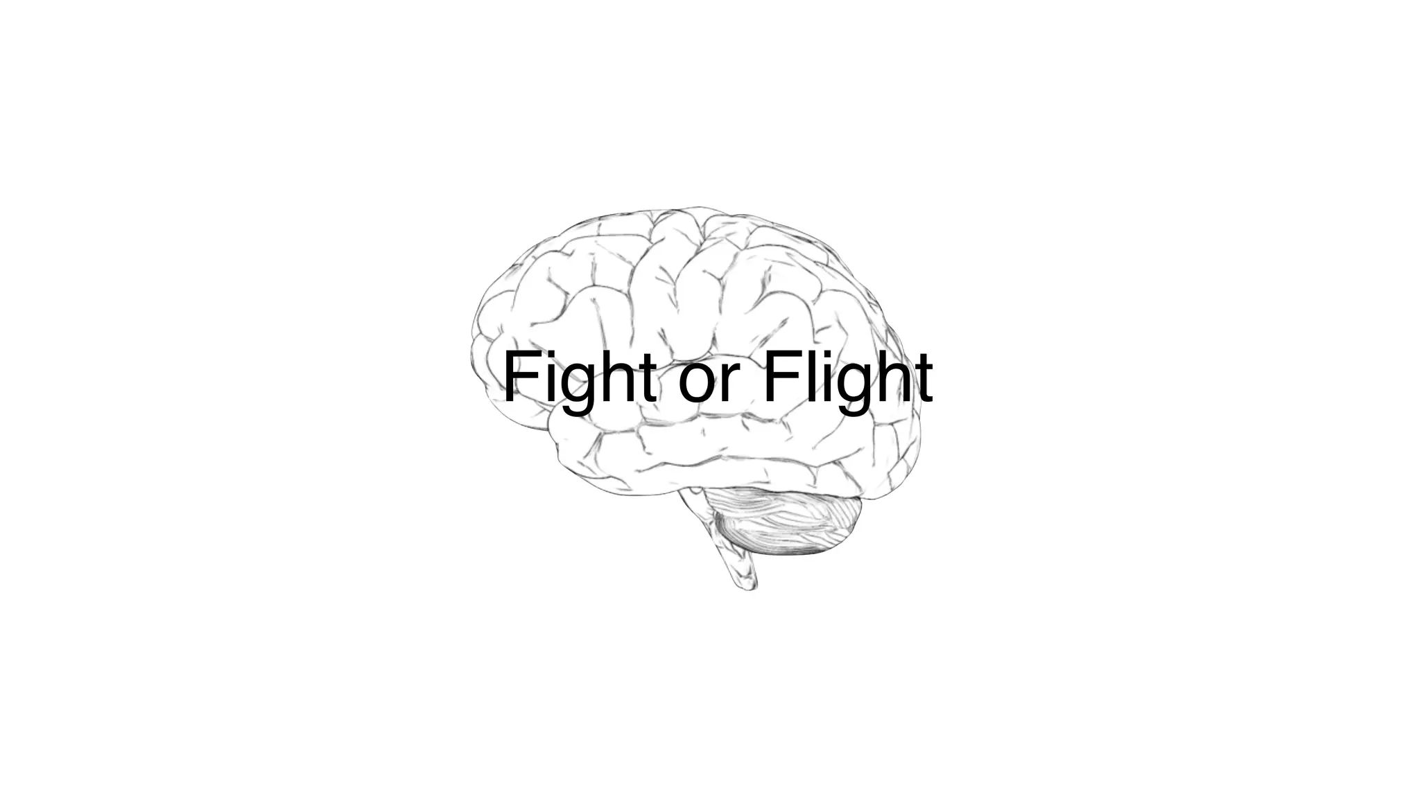 Fight or Flight
 
