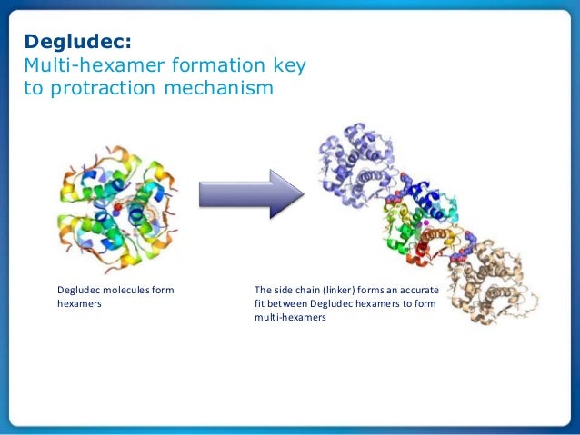 insulin mechanism of action