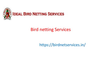 Bird netting Services
https://birdnetservices.in/
 