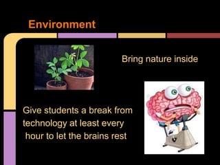 Ideal Classroom Presentation | PPTX