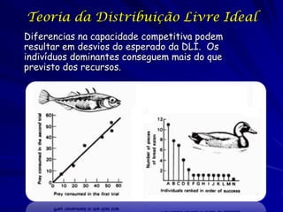 Teoria da Distribuição Livre Ideal
Diferencias na capacidade competitiva podem
resultar em desvios do esperado da DLI. Os
indivíduos dominantes conseguem mais do que
previsto dos recursos.
 