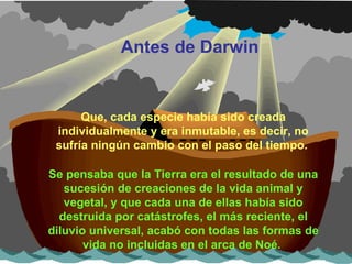 Que, cada especie había sido creada individualmente y era inmutable, es decir, no sufría ningún cambio con el paso del tiempo.   Se pensaba que la Tierra era el resultado de una sucesión de creaciones de la vida animal y vegetal, y que cada una de ellas había sido destruida por catástrofes, el más reciente, el diluvio universal, acabó con todas las formas de vida no incluidas en el arca de Noé.  Antes de Darwin 