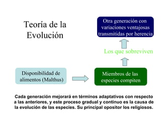 Cada generación mejorará en términos adaptativos con respecto a las anteriores, y este proceso gradual y continuo es la causa de la evolución de las especies. Su principal opositor los religiosos. Disponibilidad de alimentos (Malthus) Miembros de las  especies compiten Otra generación con  variaciones ventajosas  transmitidas por herencia Los que sobreviven Teoría de la Evolución 