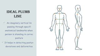 Plumb Line Explained Comprehensive Guide to Ideal Plumb Line and Posture Assessment | PPTX