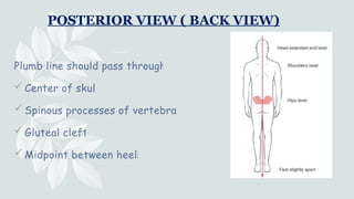 Comprehensive Guide to Ideal Plumb Line and Posture Assessment | PPTX