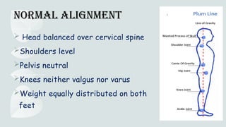 Comprehensive Guide to Ideal Plumb Line and Posture Assessment | PPTX