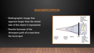 ideal radiograph.pptx oral RADIOLOGY revision | PPTX