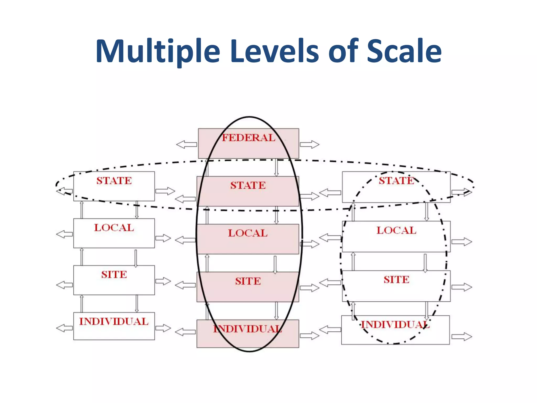 Multiple Levels of Scale 
 
