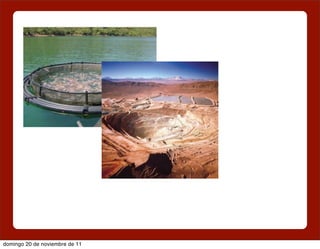 domingo 20 de noviembre de 11
 