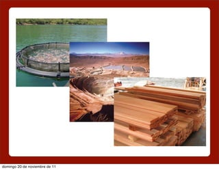 domingo 20 de noviembre de 11
 