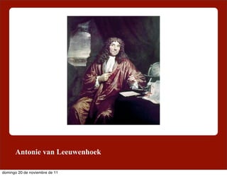Antonie van Leeuwenhoek

domingo 20 de noviembre de 11
 