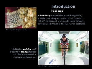 • Biomimicry is a discipline in which engineers,
scientists, and designers research and emulate
nature’s designs and processes to create products,
solutions, and strategies to solve human problems.
Introduction
Research
• Subjecting prototypes of
products to testing provides
valuable information for
improving performance.
Cervelo bicycle in wind-tunnel test.
Tube-shaped dwelling of sandcastle worm
 