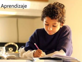 Aprendizaje
 
