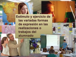 Ideas  para el desarrollo del currículo